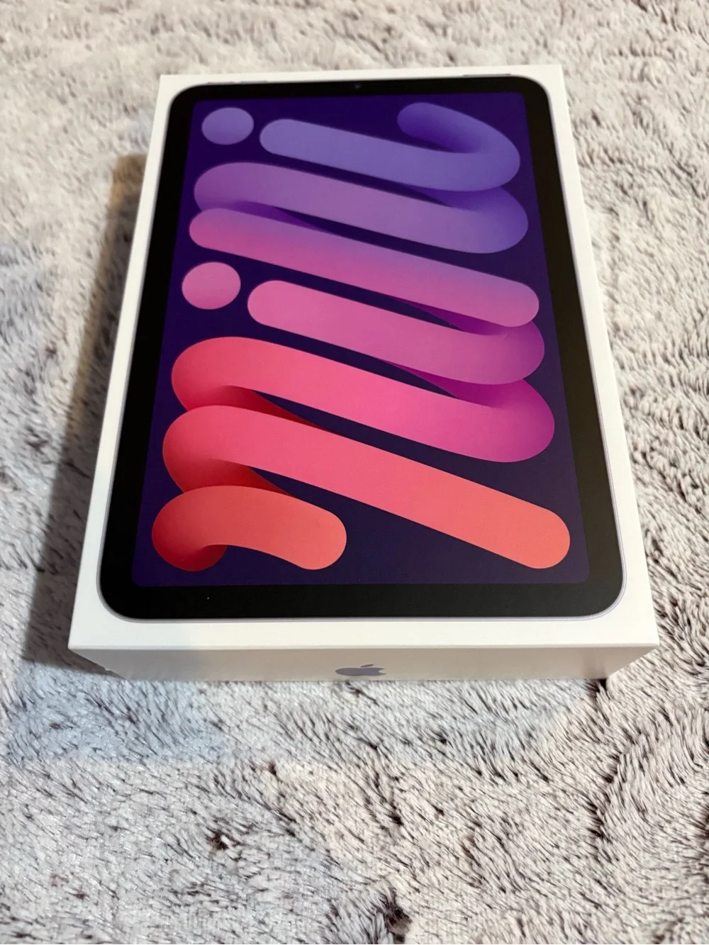 Apple iPad Mini Box - ONLY the box